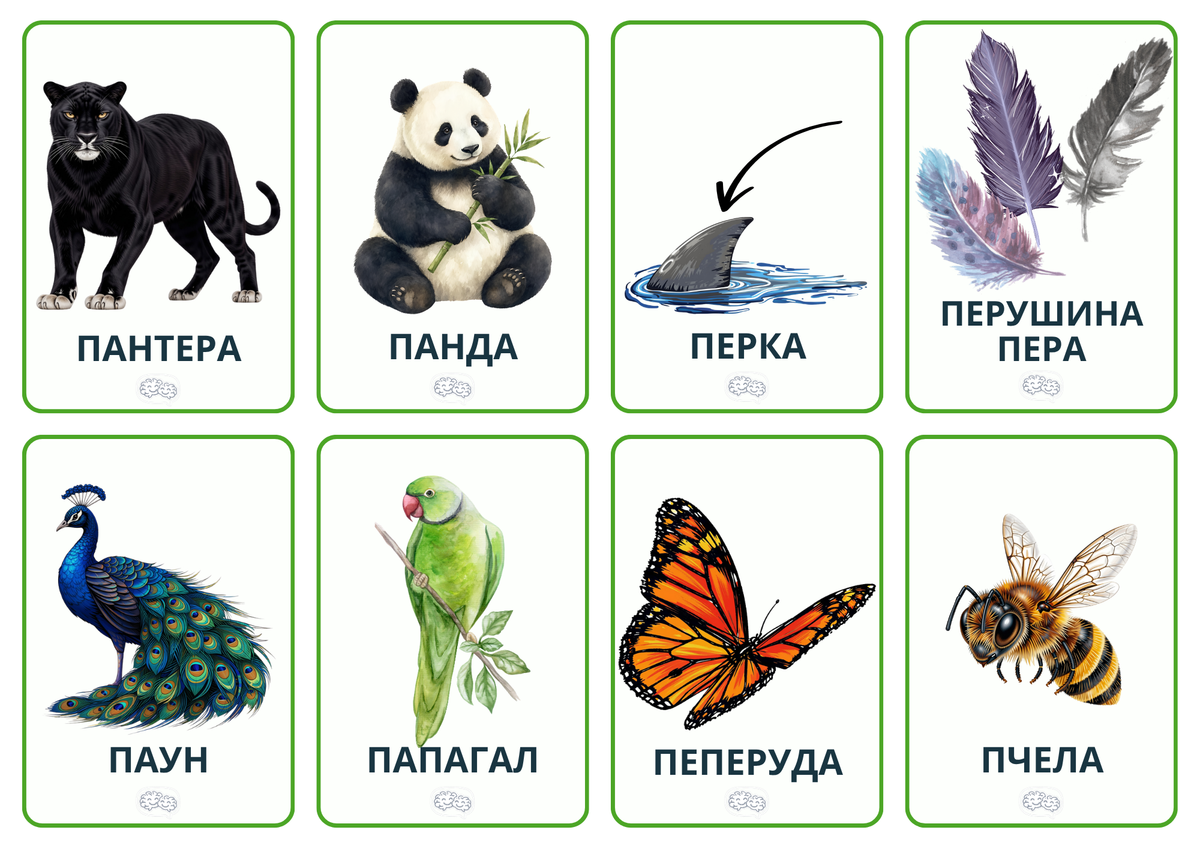 168 Карти със звук [П] PDF