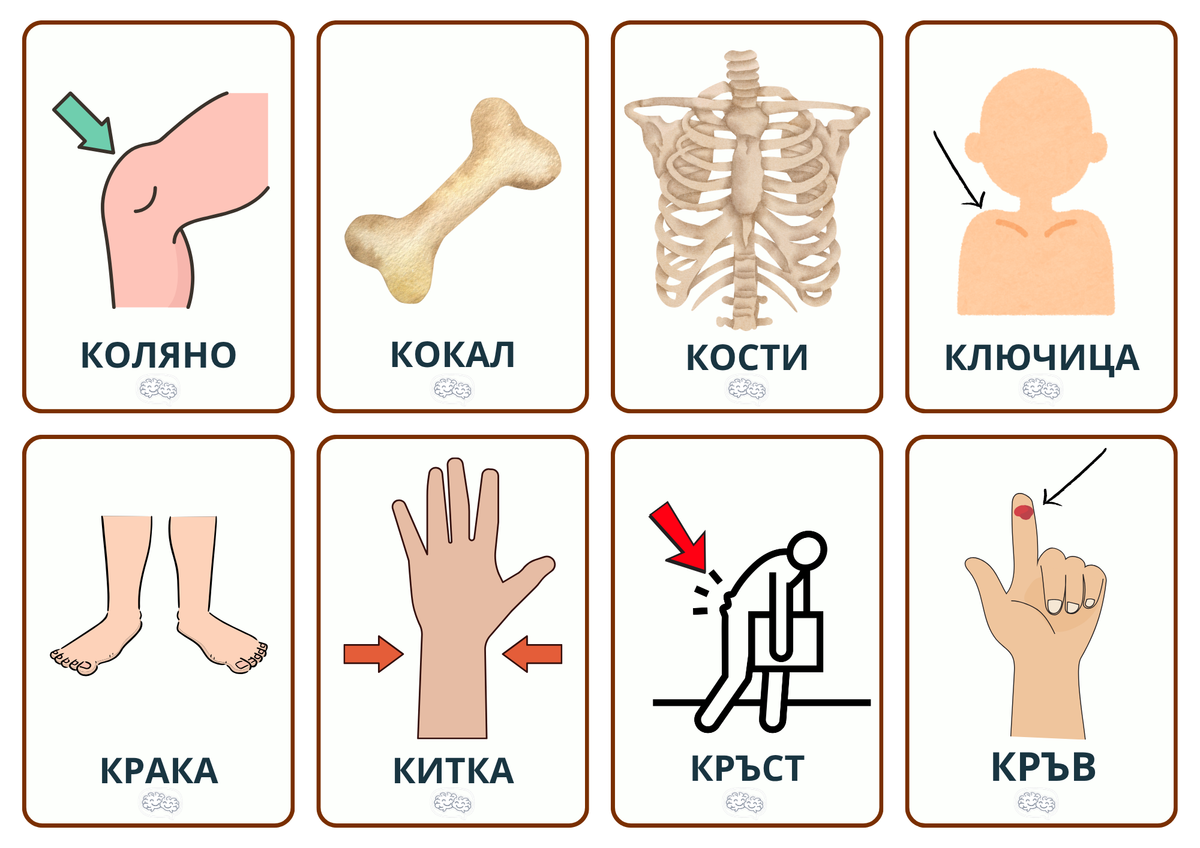 168 Карти със звук [К] PDF